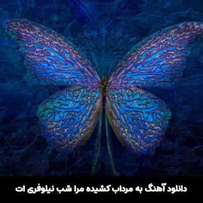 دانلود آهنگ به مرداب کشیده مرا شب نیلوفری ات گروه ایهام